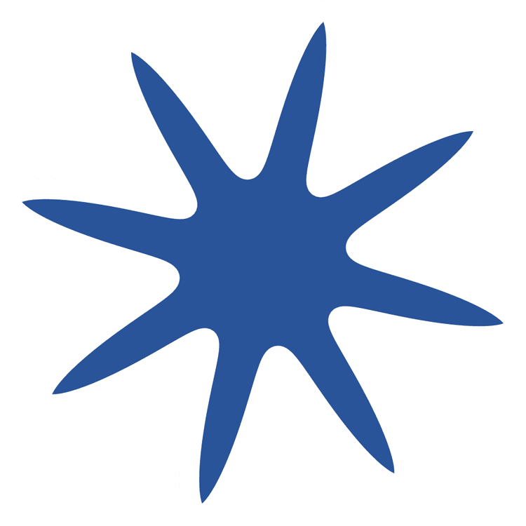 SiKu Star Hero